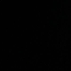 Meet your Posher, Reyna